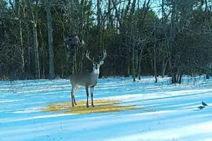 1151 Cr 24900 Rd, Roxton, TX 75477 - Photo 25