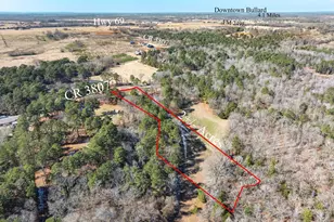 Tbd County Road 3807, Bullard, TX 75757 - Photo 11