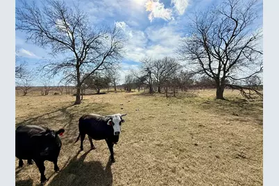 Tbd County Road 656, Thornton, TX 76687 - Photo 5