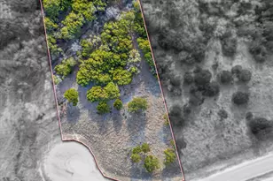 1204 County Road 407A, Nemo, TX 76070 - Photo 1