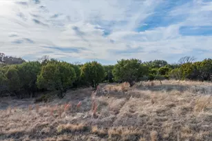 1204 Co Rd 407A, Nemo, TX 76070 - Photo 9