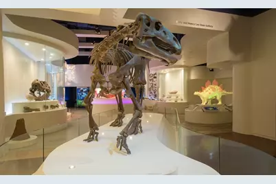 4025 Dexter Avenue, Fort Worth, TX 76107 - Photo 31