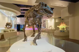 4025 Dexter Ave, Fort Worth, TX 76107 - Photo 31