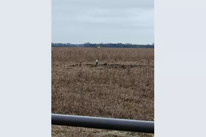 Phase II Lot 1 County Road 4060, Kerens, TX 75144 - Photo 9