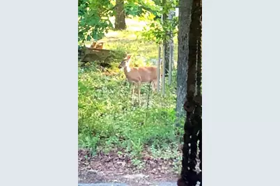 632 Vz County Road 2915, Eustace, TX 75124 - Photo 3