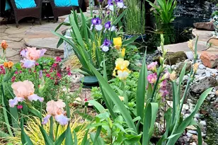 9705 Ash Creek Dr, Dallas, TX 75228 - Photo 27