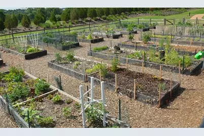 2500 King Arthur Boulevard #306, Lewisville, TX 75056 - Photo 27