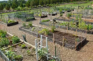 2500 King Arthur Blvd, Lewisville, TX 75056 - Photo 27