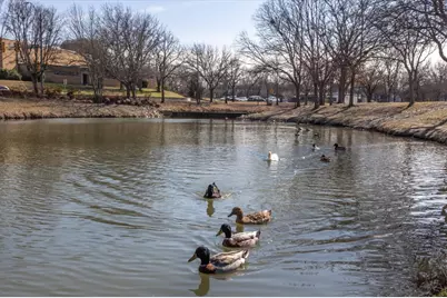 4517 Selkirk Drive, Fort Worth, TX 76109 - Photo 39