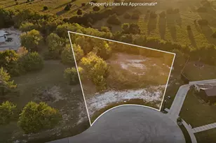 3810 White Dogwood Ct, Midlothian, TX 76065 - Photo 1