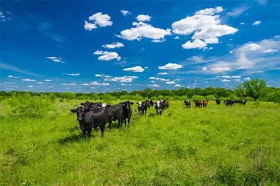 0 Highway 14, Groesbeck, TX 76642 - Photo 19