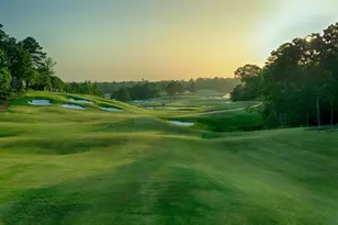 Tbd Champion Ct, Gladewater, TX 75647 - Photo 1