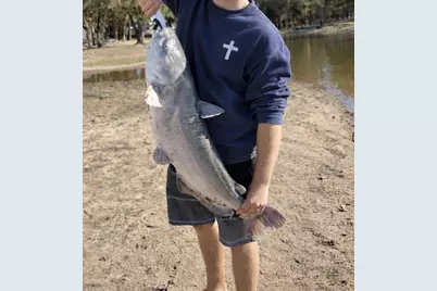 1410 S Shore Drive, Bonham, TX 75418 - Photo 35