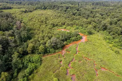 Tbd County Road 2115, Troup, TX 75789 - Photo 23