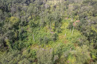 Tbd County Road 2115, Troup, TX 75789 - Photo 35