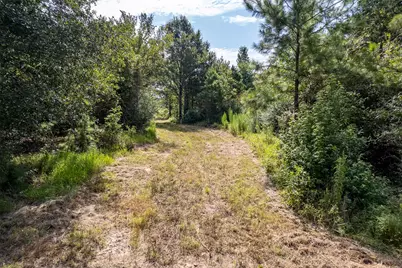 Tbd County Road 2115, Troup, TX 75789 - Photo 5