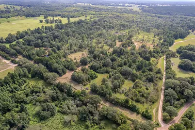 Tbd County Road 2115, Troup, TX 75789 - Photo 11