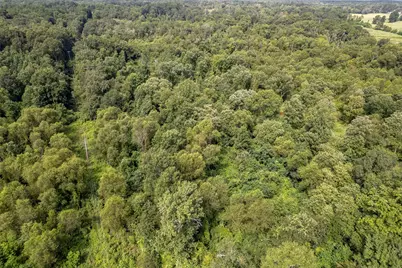 Tbd County Road 2115, Troup, TX 75789 - Photo 25