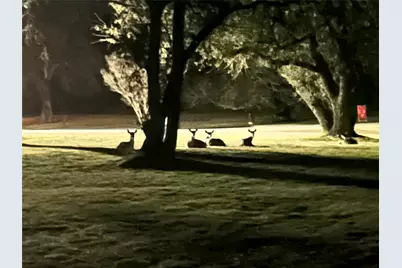 130 Winding Trail, Crawford, TX 76638 - Photo 37