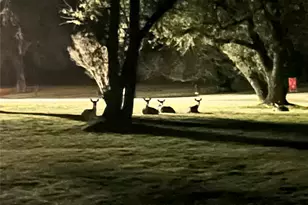 130 Winding Trail, Crawford, TX 76638 - Photo 37