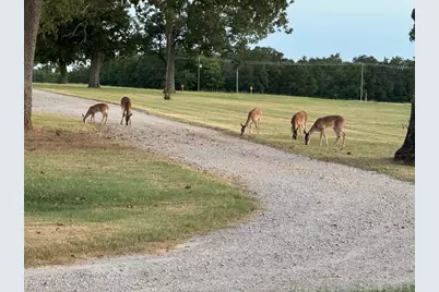 9748 County Road 1200, Athens, TX 75751 - Photo 3