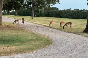 9748 Co Rd 1200, Athens, TX 75751 - Photo 3