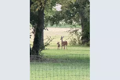 9748 County Road 1200, Athens, TX 75751 - Photo 29