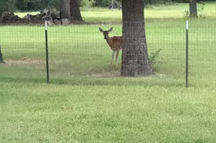 9748 Co Rd 1200, Athens, TX 75751 - Photo 33