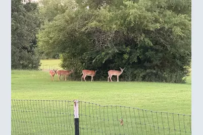 9748 County Road 1200, Athens, TX 75751 - Photo 35