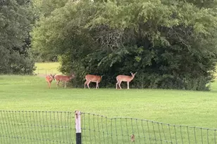 9748 Co Rd 1200, Athens, TX 75751 - Photo 35