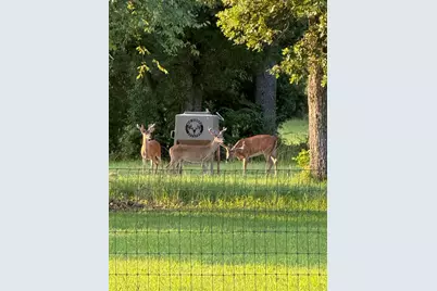 9748 County Road 1200, Athens, TX 75751 - Photo 31