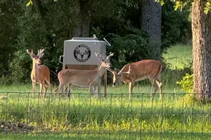 9748 Co Rd 1200, Athens, TX 75751 - Photo 31