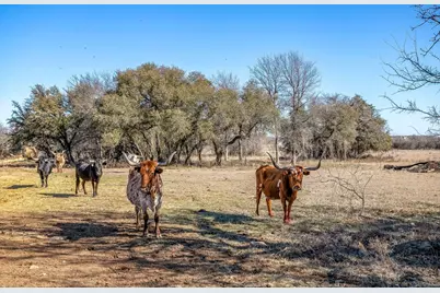 15 Acres Fm 2210, Bridgeport, TX 76426 - Photo 7