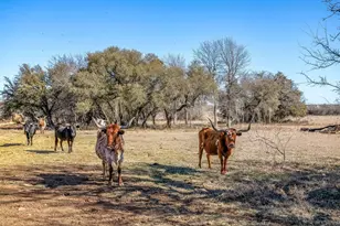 15 Acres Fm 2210, Bridgeport, TX 76426 - Photo 1