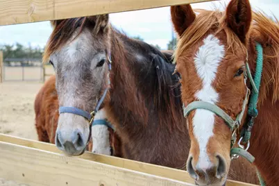 1181 4878, Winnsboro, TX 75494 - Photo 13