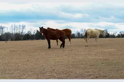 1181 4878, Winnsboro, TX 75494 - Photo 21