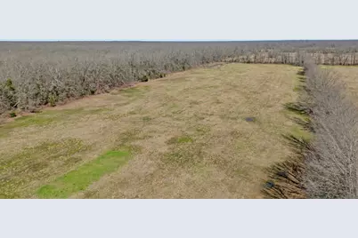 000 County Road 16590, Pattonville, TX 75468 - Photo 13