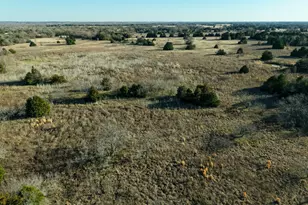 Tbd Fm 1366, Wortham, TX 76693 - Photo 13