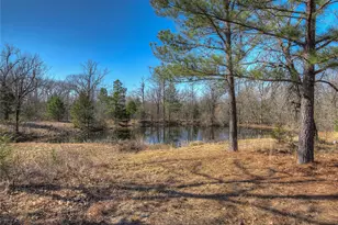 150 Vz County Road 1711, Grand Saline, TX 75140 - Photo 21