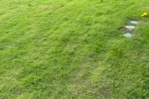 433 Alpha Rd, Pilot Point, TX 76258 - Photo 37