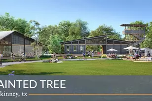 4617 Morgan St, McKinney, TX 75071 - Photo 37