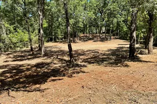 65 Alta Vista, Malakoff, TX 75148 - Photo 7