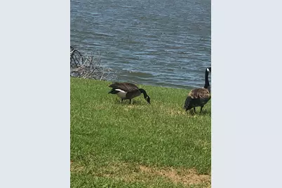 39345 Cedar Trail, Whitney, TX 76692 - Photo 15