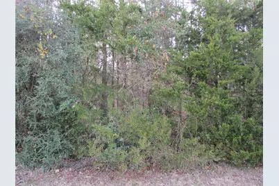 Tbd Wood County Road 2958, Alba, TX 75410 - Photo 3