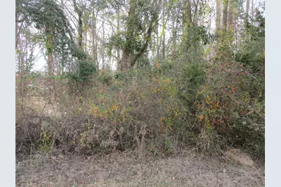 Tbd Wood County Road 2958, Alba, TX 75410 - Photo 1