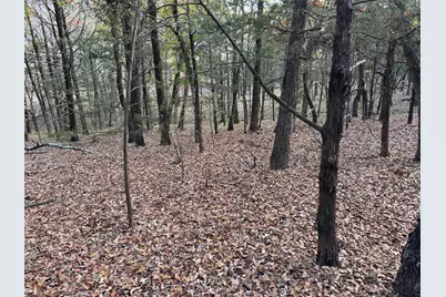 Lot 15B Forest Lakes Drive, Gordonville, TX 76245 - Photo 3