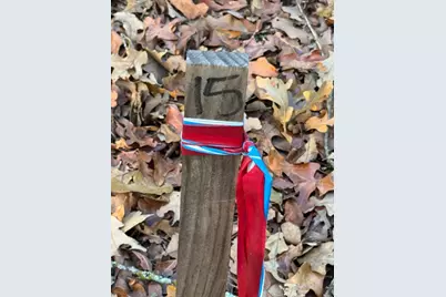 Lot 15B Forest Lakes Drive, Gordonville, TX 76245 - Photo 7