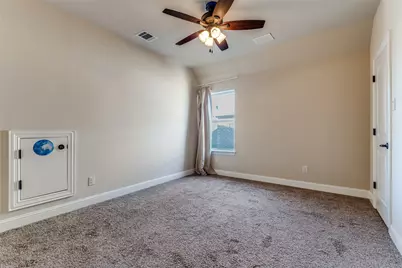 14192 Strawflowers Drive, Frisco, TX 75035 - Photo 17