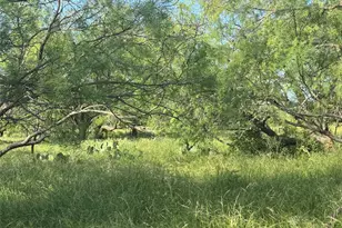 794 W Antelope Rd, Jacksboro, TX 76389 - Photo 23