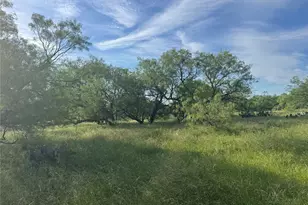794 W Antelope Rd, Jacksboro, TX 76389 - Photo 29